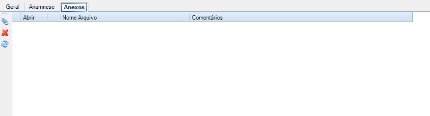 Tela Cadastro de Atendimentos Aba Anexos.jpg